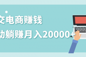 2020年最赚钱的副业，社交电商被动躺赚月入20000+，躺着就有收入（视频+文档）