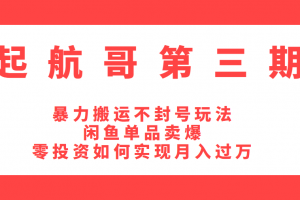 起航哥第三期：暴力搬运不封号玩法，闲鱼单品卖爆和零投资如何实现月入过万