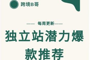 【跨境B哥】独立站潜力爆款选品推荐，测款出单率高达百分之80