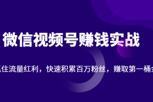 微信视频号赚钱实战：抓住流量红利，快速积累百万粉丝，赚取你的第一桶金