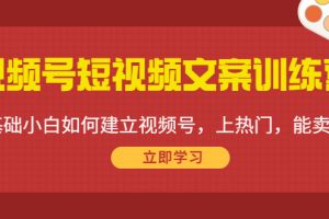 视频号短视频文案训练营：0基础小白如何建立视频号，上热门，能卖货！