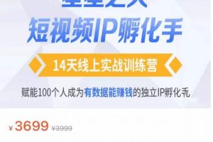 瑶瑶·自然流短视频IP孵化第二期，14天线上实战训练营，赋能100个人成为有数据能赚钱的独立IP孵化手