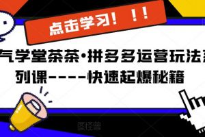 牛气学堂茶茶•拼多多运营玩法系列课—-快速起爆秘籍