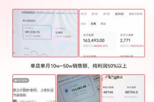 2023小红书电商火爆全网，新晋红利，风口项目，单店收益在3000-30000！