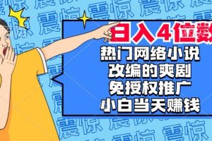 热门网络小说改编的爽剧，免授权推广，新人当天就能赚钱，日入4位数【揭秘】