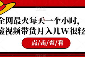 全网最火每天一个小时，借鉴视频带货月入几W很轻松【揭秘】