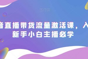 抖音直播带货流量激活课，入行新手小白主播必学