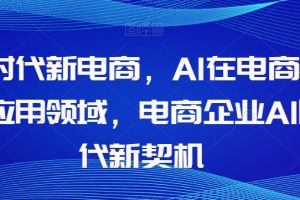 Al时代新电商，Al在电商中的应用领域，电商企业AI时代新契机