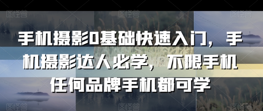 手机摄影0基础快速入门，手机摄影达人必学，不限手机任何品牌手机都可学