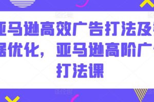 亚马逊高效广告打法及数据优化，亚马逊高阶广告打法课