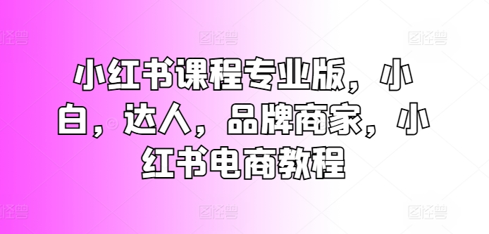 小红书课程专业版，小白，达人，品牌商家，小红书电商教程插图