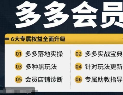 拼多多会员，拼多多实战宝典+实战落地实操，从新手到高阶内容全面覆盖插图