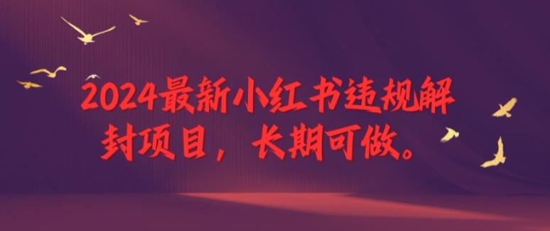 2024最新小红书违规解封项目，长期可做，一个可以做到退休的项目【揭秘】插图