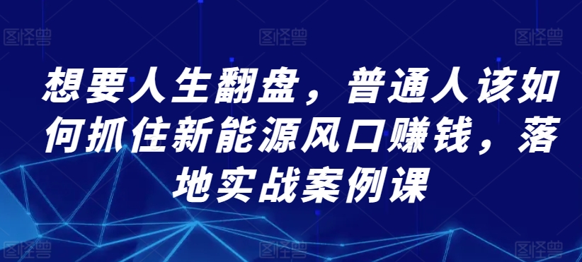 想要人生翻盘，普通人该如何抓住新能源风口赚钱，落地实战案例课插图