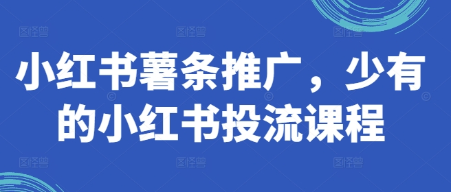 小红书薯条推广，少有的小红书投流课程插图