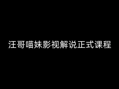 汪哥影视解说正式课程：剪映/PR教学/视解说剪辑5大黄金法则/全流程剪辑7把利器等等插图