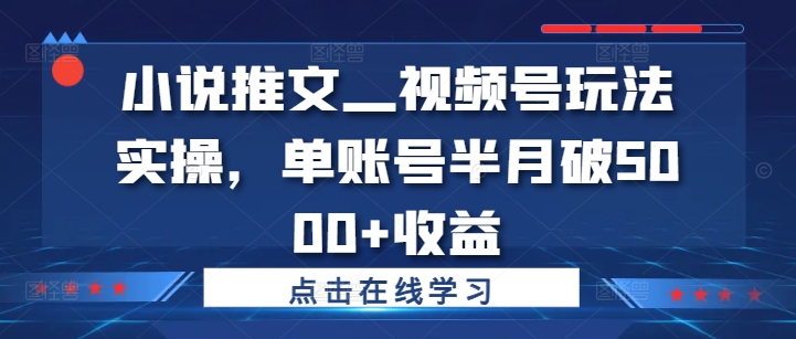 小说推文—视频号玩法实操，单账号半月破5000+收益插图