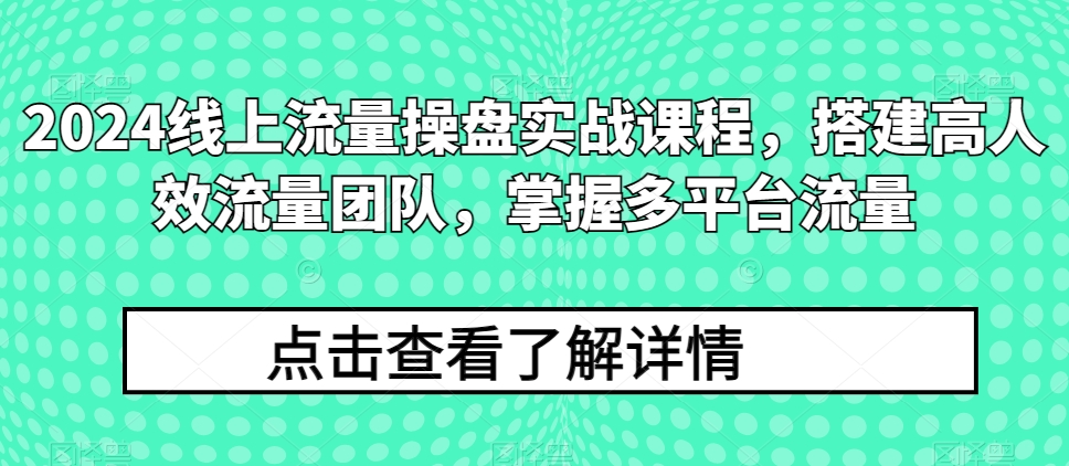 2024线上流量操盘实战课程，搭建高人效流量团队，掌握多平台流量插图