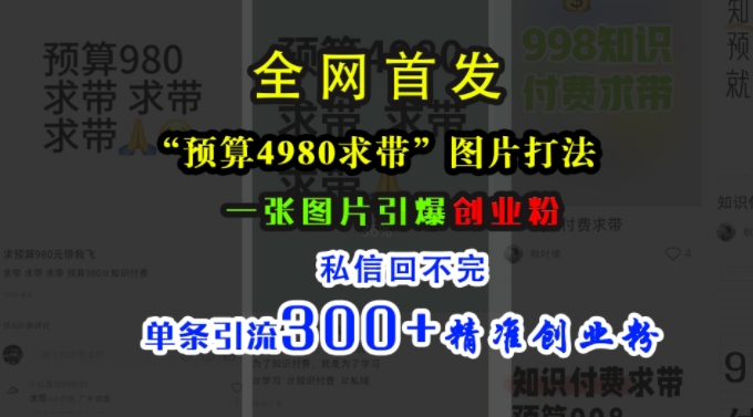 小红书“预算4980带我飞”图片打法，一张图片引爆创业粉，私信回不完，单条引流300+精准创业粉插图