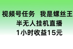 视频号任务，我是螺丝王， 半无人挂机1小时收益15元【揭秘】