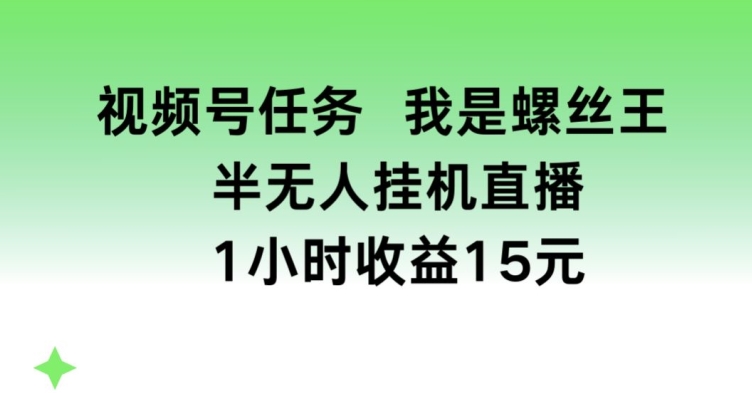 视频号任务，我是螺丝王， 半无人挂机1小时收益15元【揭秘】插图