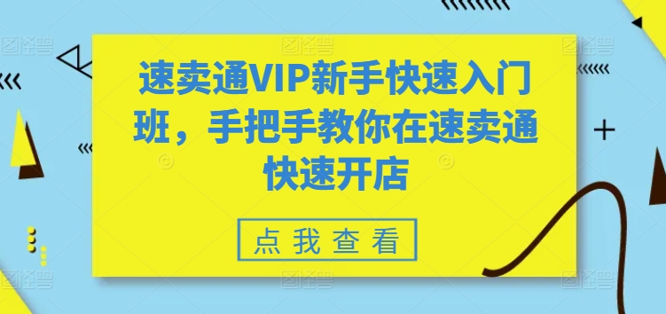 速卖通VIP新手快速入门班，手把手教你在速卖通快速开店插图