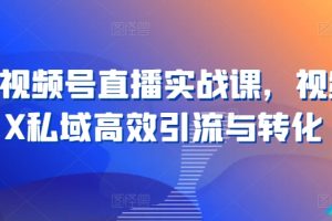 21天视频号直播实战课，视频号X私域高效引流与转化