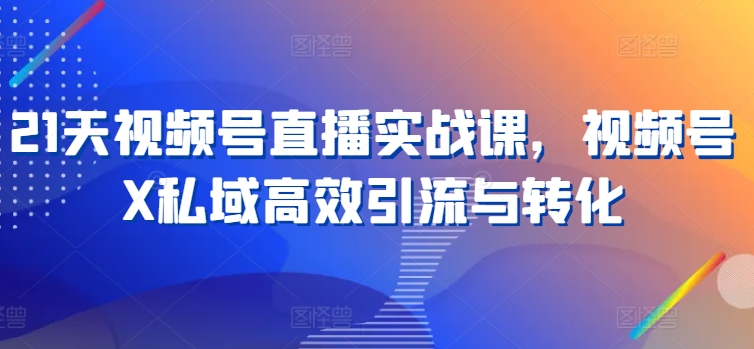 21天视频号直播实战课，视频号X私域高效引流与转化插图