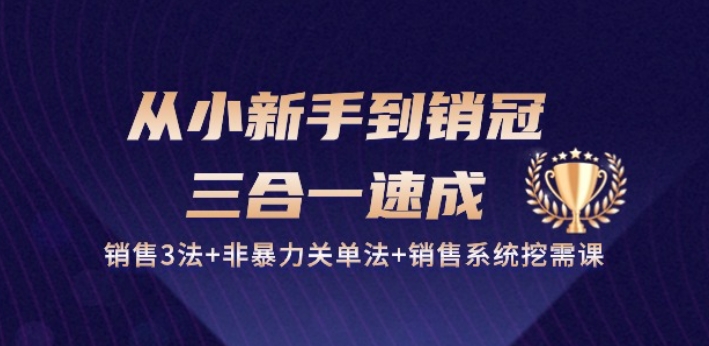 从小新手到销冠 三合一速成：销售3法+非暴力关单法+销售系统挖需课 (27节)插图