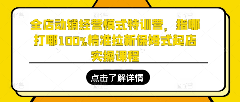 全店动销经营模式特训营，指哪打哪100%精准拉新保姆式起店实操课程插图