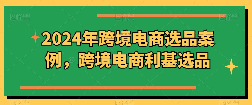 2024年跨境电商选品案例，跨境电商利基选品插图