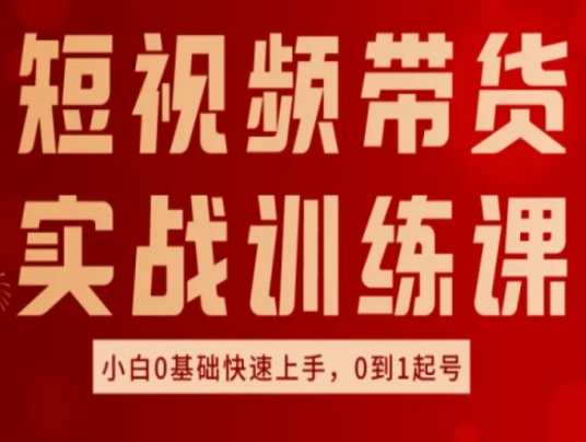 短视频带货实战训练课，好物分享实操，小白0基础快速上手，0到1起号插图