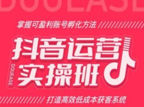 抖音运营实操班，掌握可盈利账号孵化方法，打造高效低成本获客系统插图