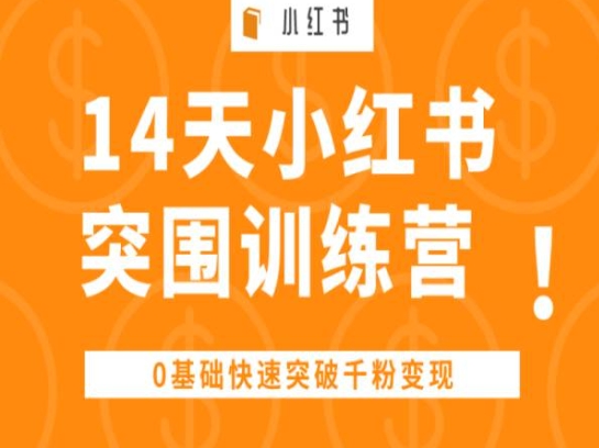 14天小红书突围训练营 ，0基础快速突破千粉变现插图