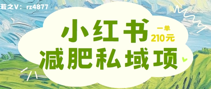 小红书减肥粉，私域变现项目，一单就达210元，小白也能轻松上手【揭秘】插图