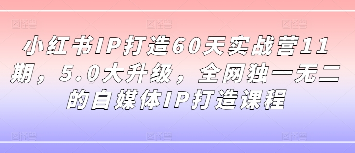 小红书IP打造60天实战营11期，5.0大升级，全网独一无二的自媒体IP打造课程插图