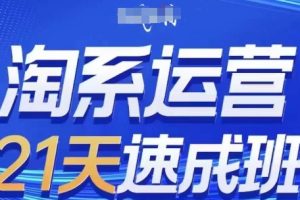 淘系运营21天速成班(更新24年6月)，0基础轻松搞定淘系运营，不做假把式