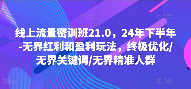 线上流量密训班21.0，24年下半年-无界红利和盈利玩法，终极优化/无界关键词/无界精准人群插图