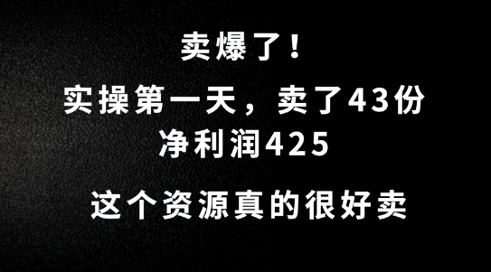 这个资源，需求很大，实操第一天卖了43份，净利润425【揭秘】插图