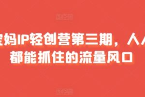 宝妈IP轻创营第三期，人人都能抓住的流量风口