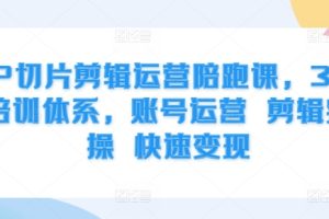 IP切片剪辑运营陪跑课，3大培训体系，账号运营 剪辑实操 快速变现