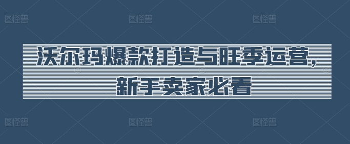 沃尔玛爆款打造与旺季运营，新手卖家必看插图