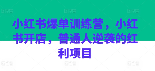 小红书爆单训练营，小红书开店，普通人逆袭的红利项目插图