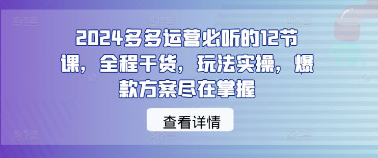 2024多多运营必听的12节课，全程干货，玩法实操，爆款方案尽在掌握插图