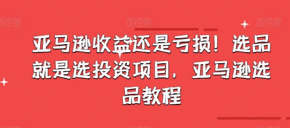 亚马逊收益还是亏损！选品就是选投资项目，亚马逊选品教程插图