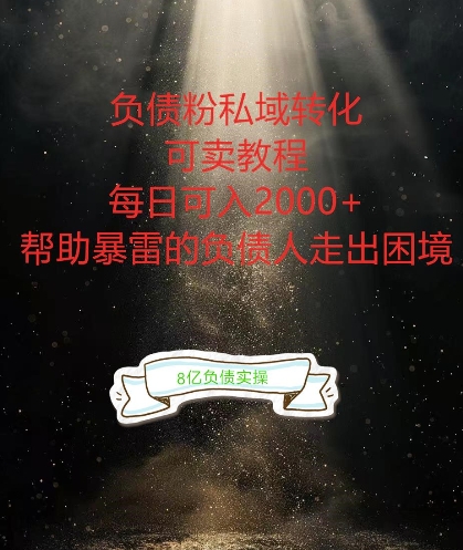 负债粉掘金计划，帮助负债者解决问题，债务规划，债务重组，最好的变现方式【揭秘】插图