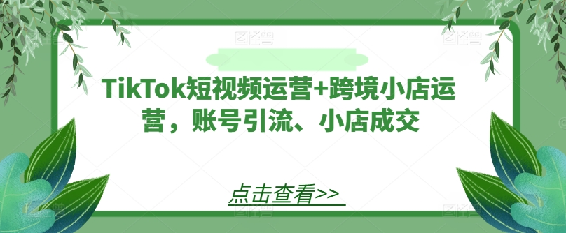 TikTok短视频运营+跨境小店运营，账号引流、小店成交插图