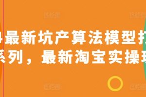 2024最新坑产算法模型打款玩法系列，最新淘宝实操玩法