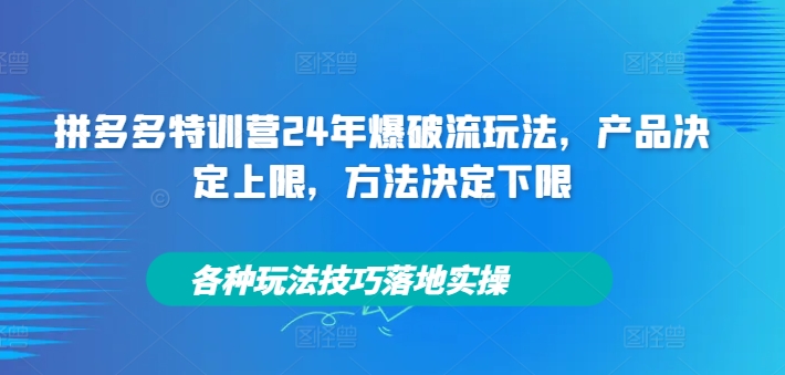 拼多多特训营24年爆破流玩法，产品决定上限，方法决定下限，各种玩法技巧落地实操插图