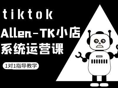 TK小店系统运营课-tiktok跨境电商教程插图